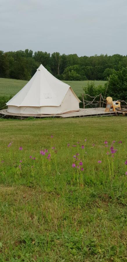 Camping La Petite Houmee Curzay-sur-Vonne Exterior foto
